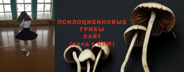 прущая мука Арсеньев