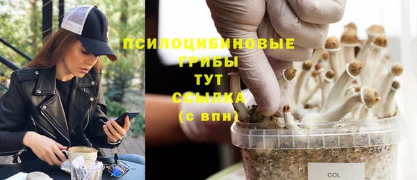 синтетический гашиш Новозыбков
