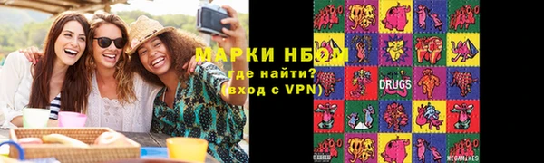 стафф Новодвинск