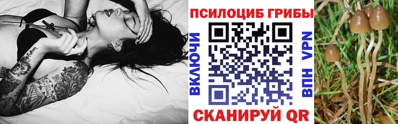 Галлюциногенные грибы Psilocybe  наркота  Артёмовский 